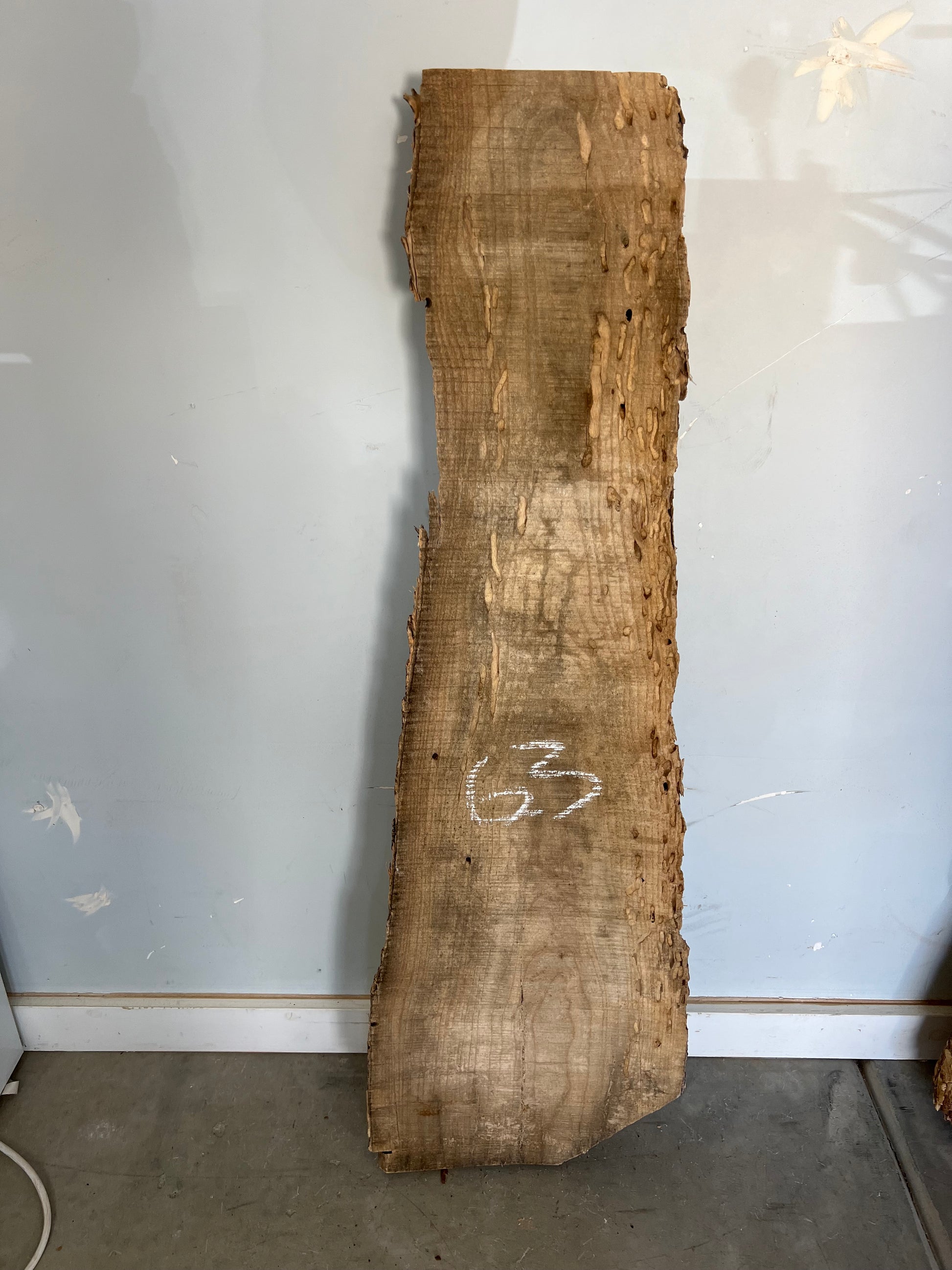 Aqua Blue Bird of Prey Cotton Reversible Kantha Quilt Bedspread Throw - Adore India   